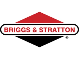 motores briggs stratton